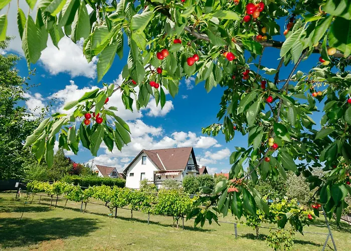 펜션 Antal By Interhome *